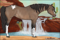 Horse Color:Brown Dun Varnish Rabicano 