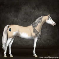 Horse Color:Silver Classic Champagne Dun Splash Frame 