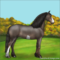 Horse Color:Liver Red Roan 