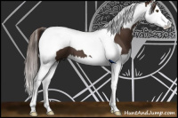 Horse Color:Liver Chestnut Splash Tobiano