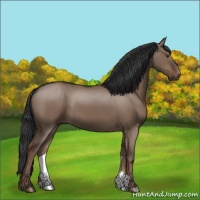 Horse Color:Liver Red Dun Rabicano 
