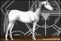 Horse Color:White Spotted Smoky Black