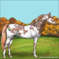 Horse Color:Watercolor Liver Chestnut Ice Splash Tobiano Frame 
