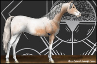 Horse Color:Silver Buckskin Roan Sabino 