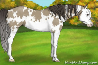 Horse Color:White Spotted Smoky Grullo Splash 