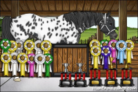 Horse Color:Black Appaloosa