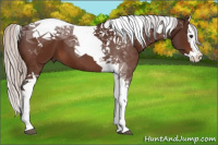 Horse Color:Silver Brown Splash Tobiano 