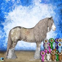 Horse Color:Liver Red Dun Mushroom Sabino Rabicano Brindle