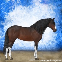 Horse Color:Brown 