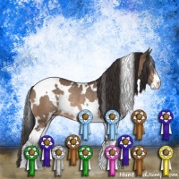 Horse Color:White Spotted Bay Dun Sabino Appaloosa Rabicano 