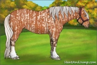 Horse Color:Silver Buckskin Roan Pearl and Silver Bay
