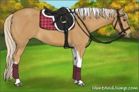 Horse Color:Palomino Tobiano 