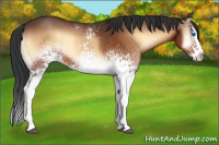 Horse Color:White Spotted Brown Onyx Splash 