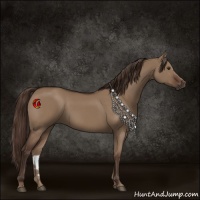 Horse Color:Liver Red Dun 