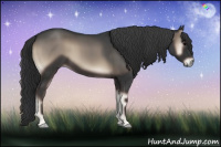 Horse Color:Blue Onyx 