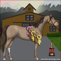 Horse Color:Classic Champagne 