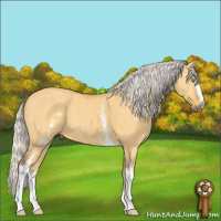 Horse Color:White Spotted Silver Buckskin Dun 
