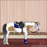 Horse Color:Buckskin Splash Tobiano 