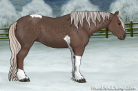 Horse Color:Silver Black Sabino Tobiano 