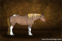 Horse Color:Painted Brown Dun Tobiano 