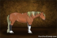 Horse Color:Painted Bay Tobiano 