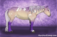 Horse Color:Watercolor White Spotted Silver Brown Chinchilla 