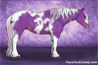 Horse Color:Watercolor Silver Brown Tobiano Frame 