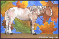 Horse Color:White Spotted Silver Brown 