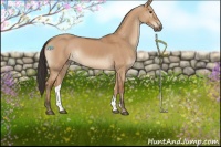 Horse Color:Bay Dun Rabicano 