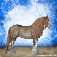 Horse Color:Liver Red Dun Sabino Rabicano Brindle