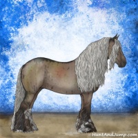 Horse Color:Liver Red Dun Mushroom Sabino Rabicano Brindle
