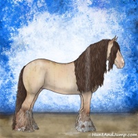 Horse Color:Sable Champagne Dun Sabino Rabicano Brindle 