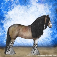 Horse Color:Brown Dun Sabino Rabicano Brindle 