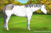 Horse Color:Brown Roan Splash 