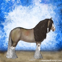 Horse Color:Liver Red Dun Sabino Splash Rabicano