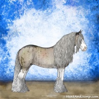 Horse Color:Liver Red Dun Mushroom Sabino Splash Rabicano Brindle