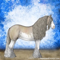 Horse Color:Liver Red Dun Mushroom Sabino Splash Rabicano Brindle 