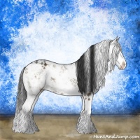 Horse Color:Liver Red Dun Sabino Rabicano Brindle 