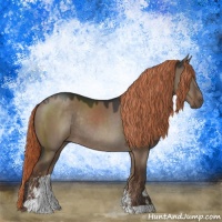Horse Color:Liver Red Dun Sabino Rabicano