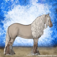 Horse Color:Liver Red Dun Mushroom Rabicano 