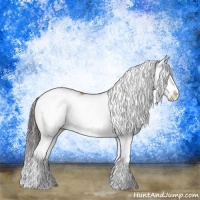 Horse Color:Sable Champagne Onyx Sabino Splash Rabicano Brindle 