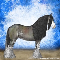 Horse Color:Grullo Mushroom Sabino Splash Brindle 