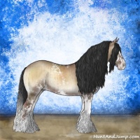 Horse Color:Liver Red Dun Onyx Sabino Splash Rabicano Brindle 