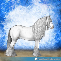 Horse Color:Grullo Mushroom Sabino Splash Rabicano