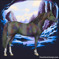 Horse Color:Nacre Black 