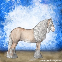 Horse Color:Gold Champagne Dun Mushroom Sabino Splash Rabicano Brindle