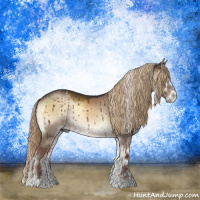 Horse Color:Liver Red Dun Onyx Sabino Rabicano Brindle