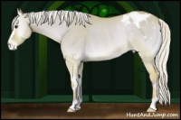 Horse Color:Watercolor Silver Buckskin Onyx Appaloosa Rabicano 
