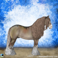 Horse Color:Liver Red Dun Sabino Splash Rabicano