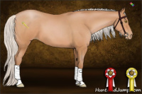 Horse Color:Silver Bay Pearl 